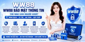 WW88 ⭐️ Đăng Nhập & Đăng Ký WW88.COM - Nhà Cái Uy Tín